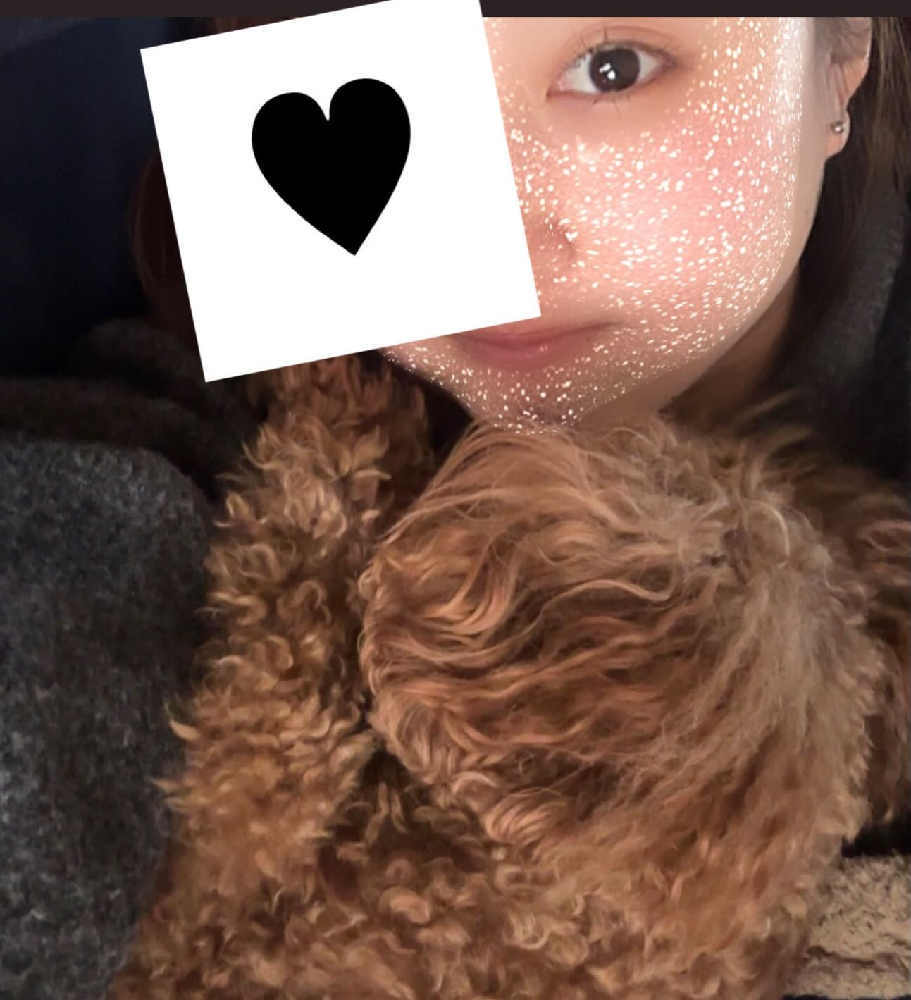 あんといぬです!