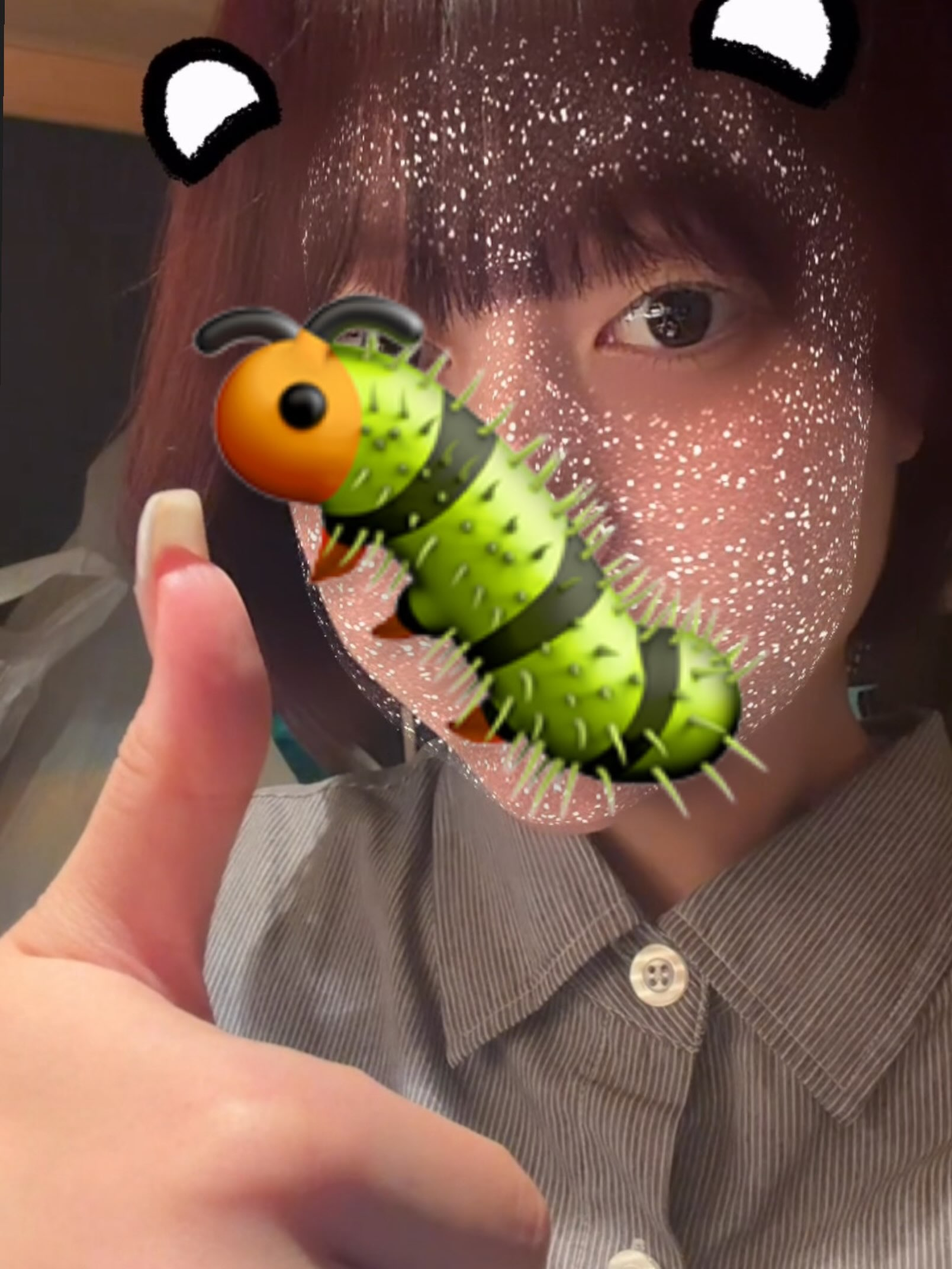 アンコロよ